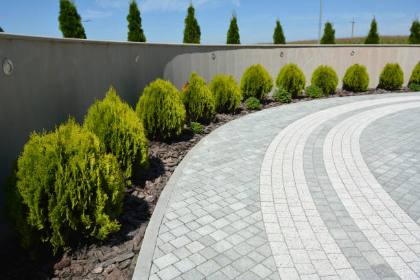 Best Driveway Paving Contractor  in Sullivan, MO
